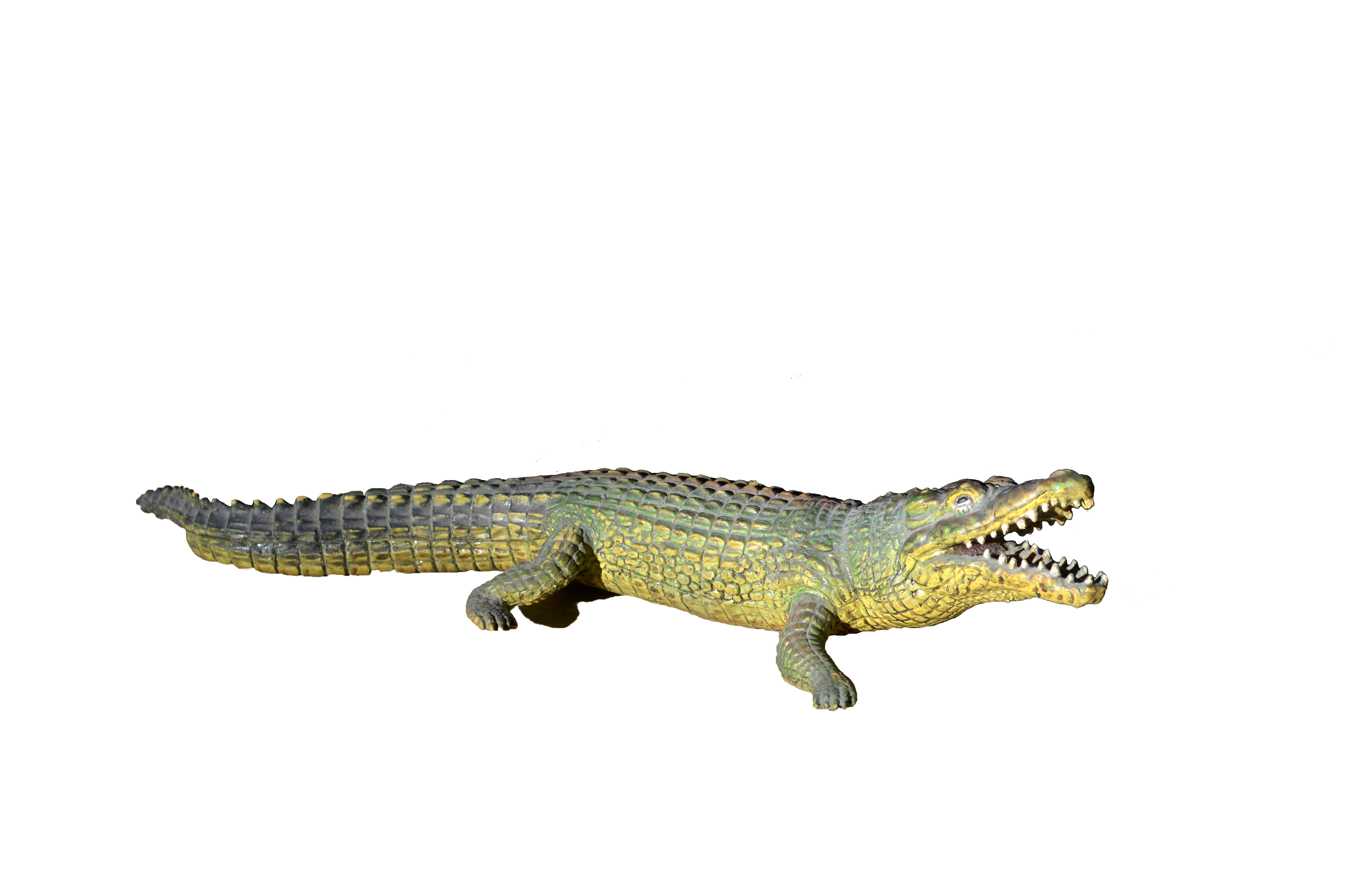 alligator png photo copy annamae deviantart #28814