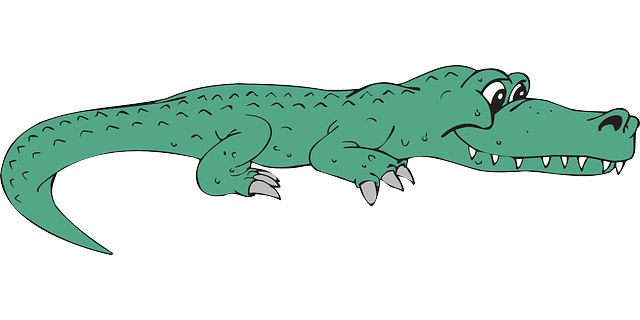 Alligator