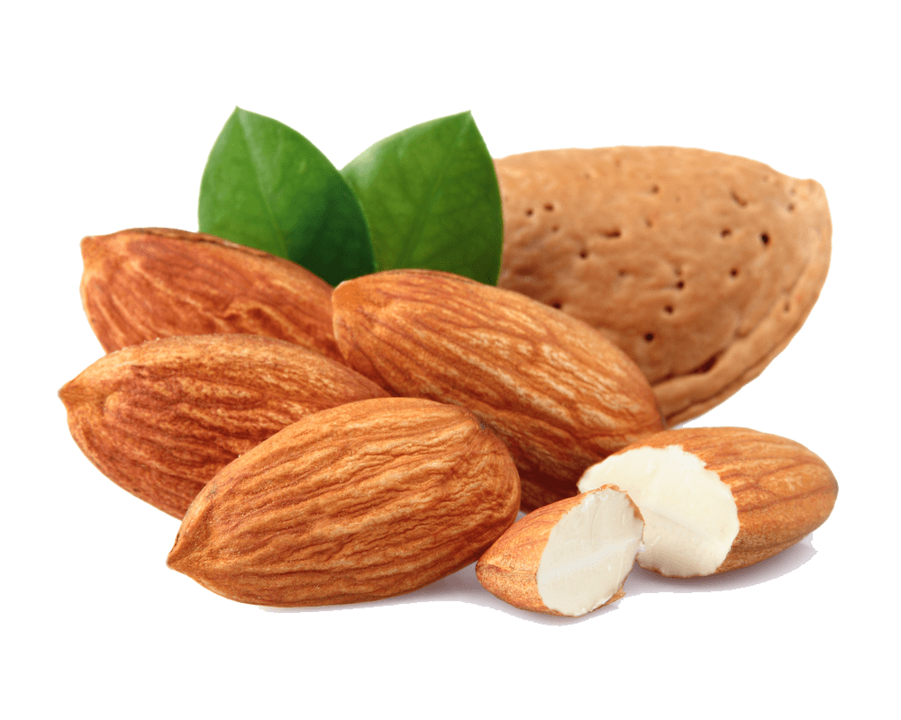 almond group transparent png stickpng #30296