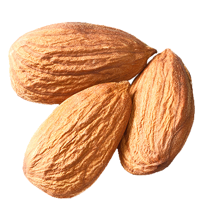 almond png images are available download crazypngm crazy png images download #30328