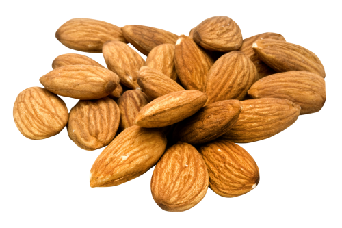 almond png transparent image pngpix #30326