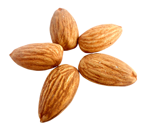 almond png transparent image pngpix #30331