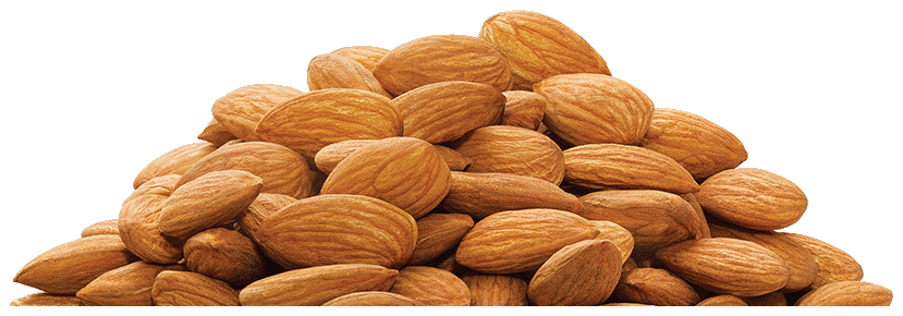 almond png transparent images png only #30290