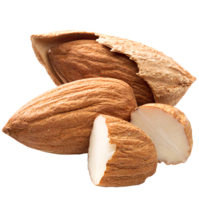 almond png transparent images png only #30343