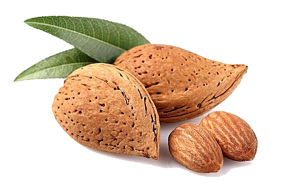 almond, sweet almonds health benefits nutritional properties redjuice #30333