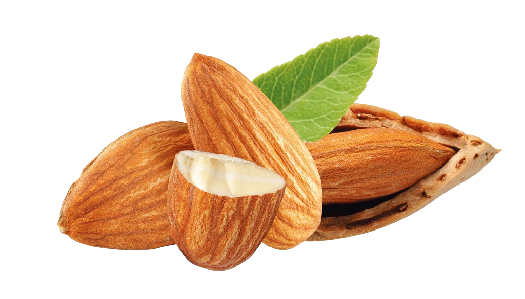 nuts almond dried fruit almond nuts png download transparent nut png #30358