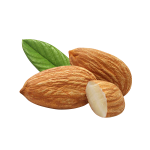 sweet almond oil suppliers sweet almond oil wholesale suppliers bulk price #30312