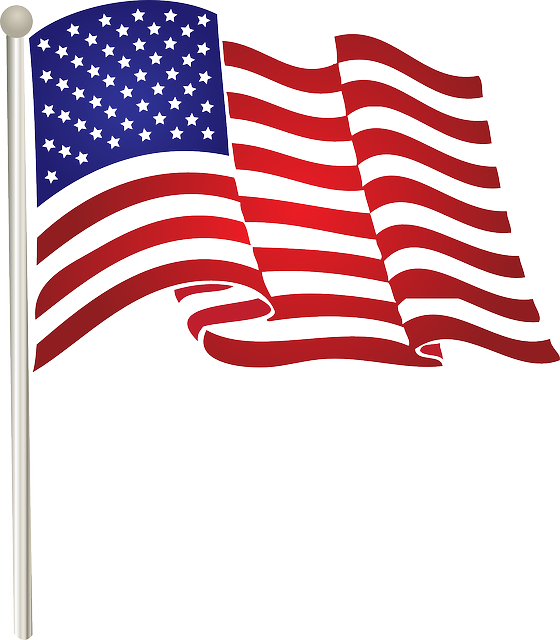 american flag vector graphic flag united states american #38749