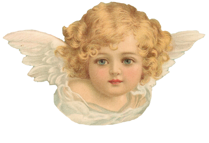 angel, cherubim holywell community #20583
