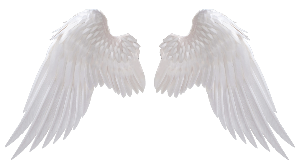 wings feathered angel and bird wings wingit #20564