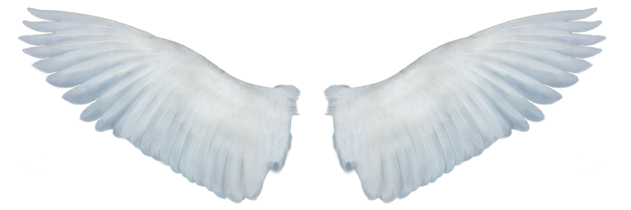 angel wings josecr deviantart #10839