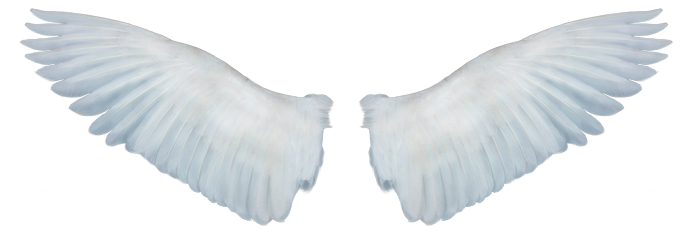 Angel Wings, Wings PNG Images Transparent Free Download - Free