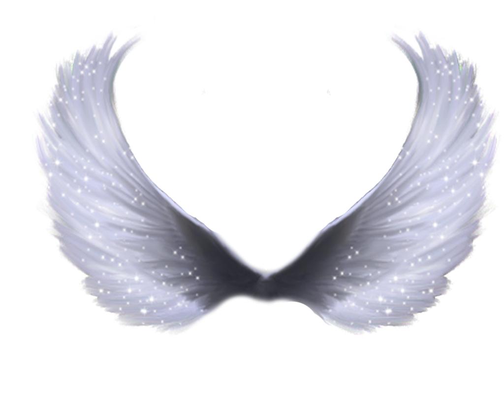 Angel Wings Wings Png Images Transparent Free Download Free Transparent Png Logos