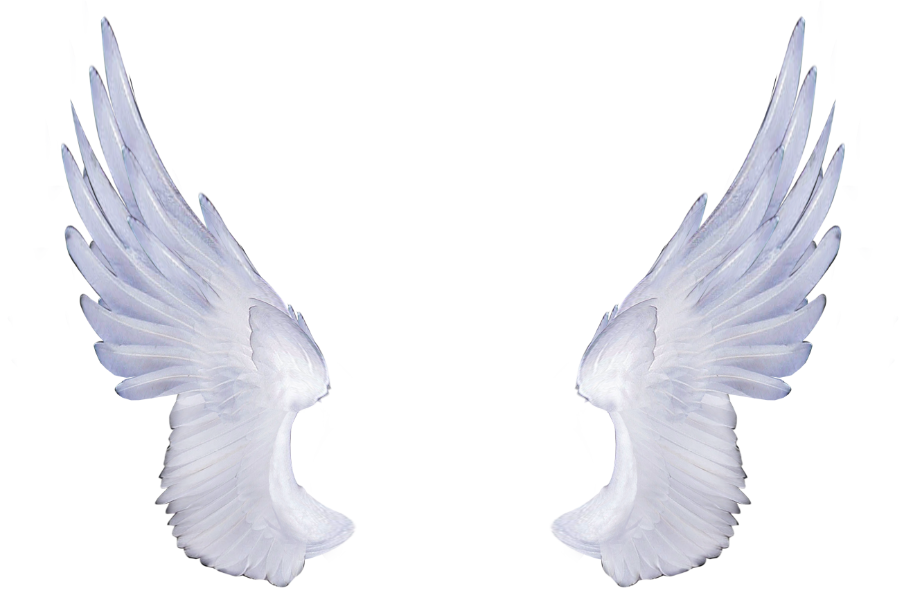 angel wings png cliparts #10779