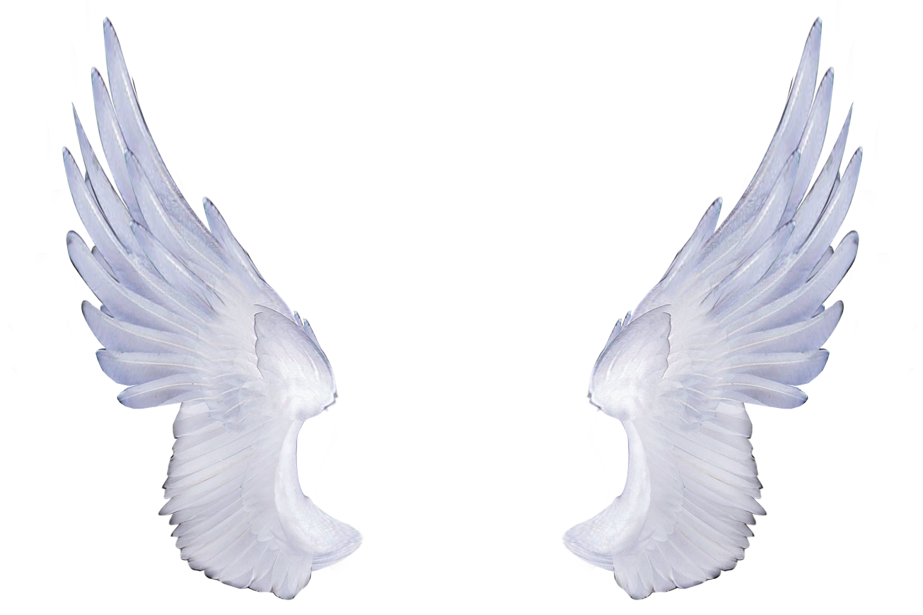 Angel Wings