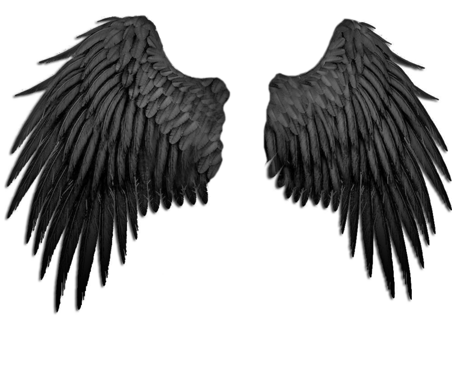 angel wings png dark angel png transparent dark angel images pluspng #10775