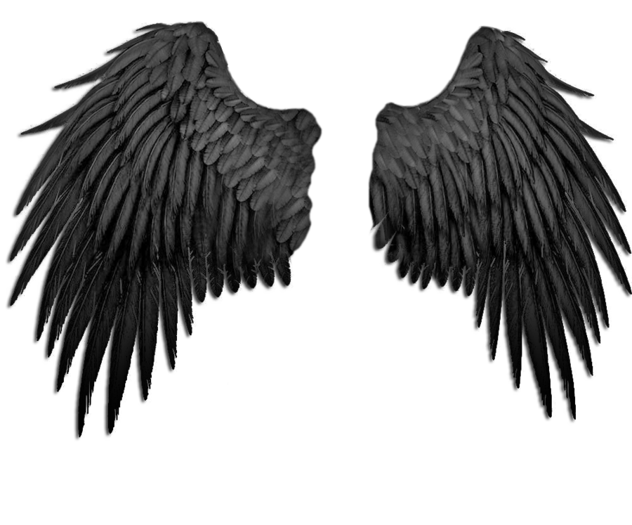 Transparent Demon Wings Png - Black Angel Wings Png, Png Download