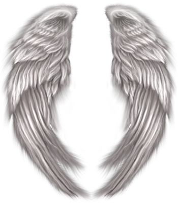 angel wings png flame angel psd images angel violet flame angeles #10847
