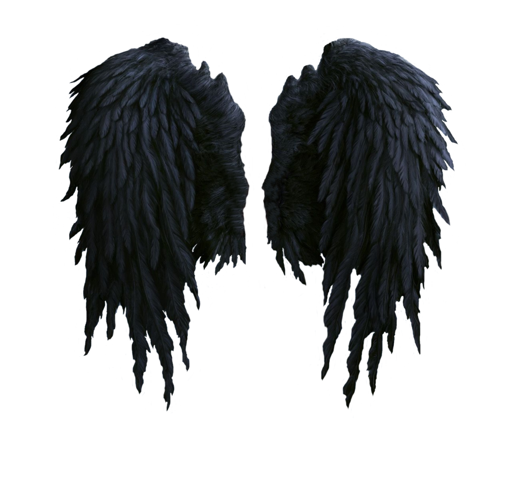 angel wings png lingdumstudog deviantart #10792