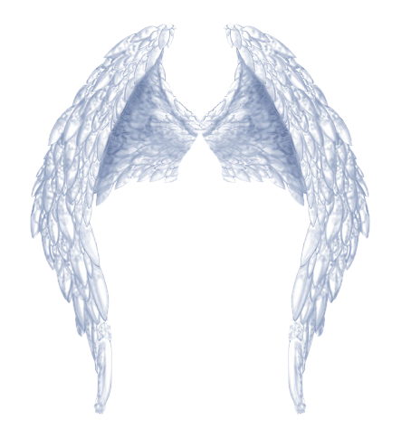 angel wings png morbid princess wings png #10863
