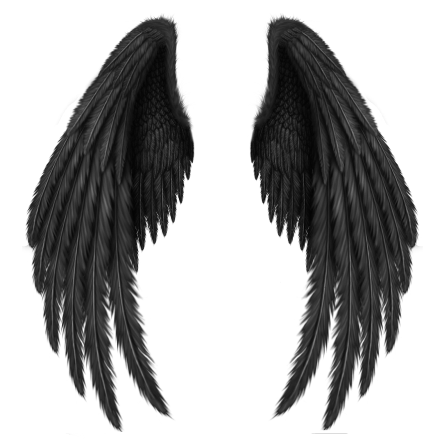 angel wings png pin ann techlin artistically and creatively wings #10853