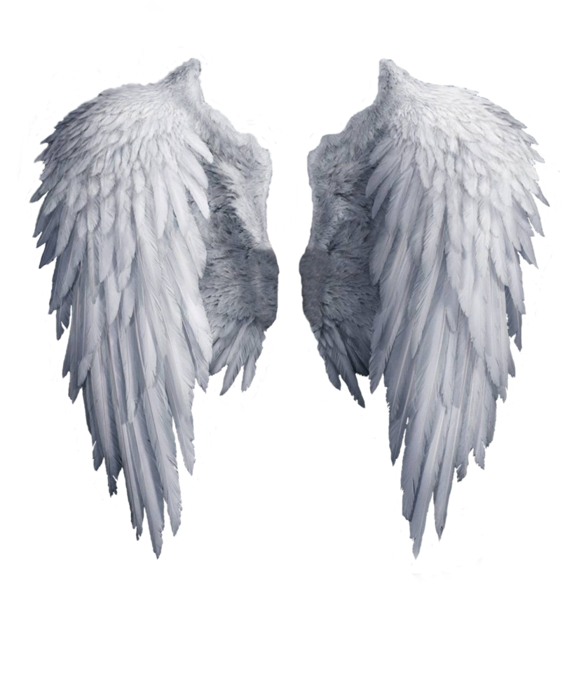 angel wings png shadow nemo deviantart #10787