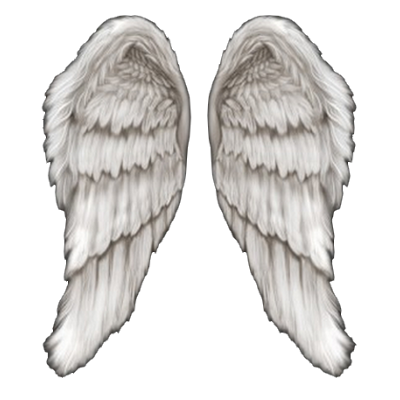 angel wings png the angel bowen the repository #10838