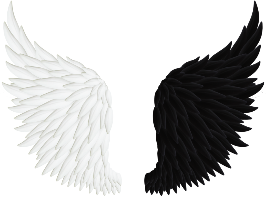 Angel Wings, Wings PNG Images Transparent Free Download