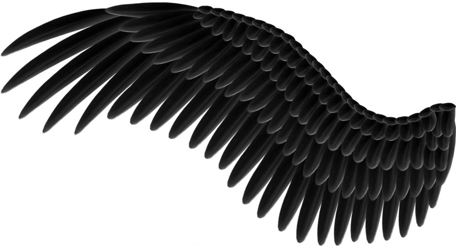 Black Wings PNG Image  Angel wings png, Wings drawing, Wings png