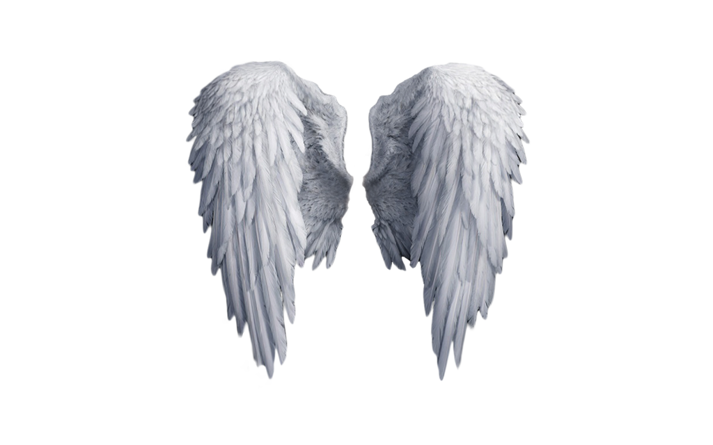angel wings png trump gop forget now never your #10772
