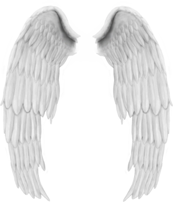 angel wings png wings mature images and deviantart pinterest #10857