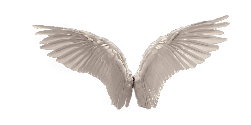 angel wings png wings png minhhna deviantart #10783