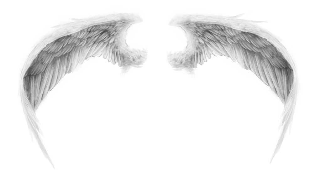 angel wings png wings romanticfae clipart library #10858