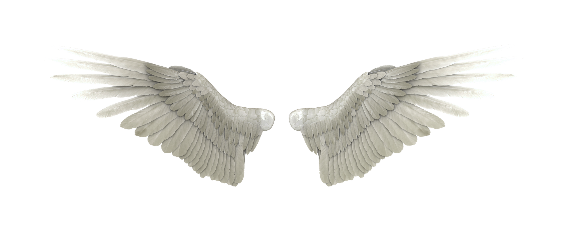 angel wings png woo hoo favourites flobelebelebobele deviantart #10796