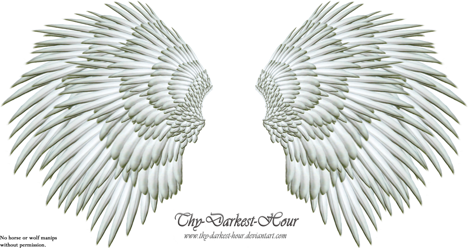 clipart library more like angel wings png thy #10855