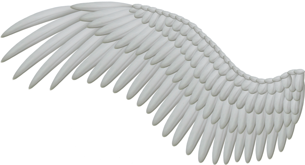 clipart library more like good and evil angel wings png #10788