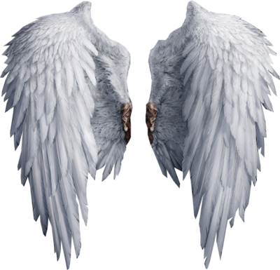 psd detail angel wings official psds #10768