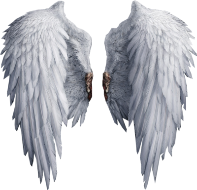 Angel Wings, Wings PNG Images Transparent Free Download - Free Transparent  PNG Logos