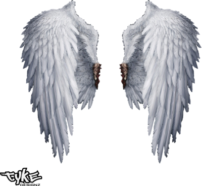 psd detail angel wings official psds #10776