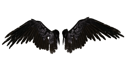 transparent angel wings tumblr #10794