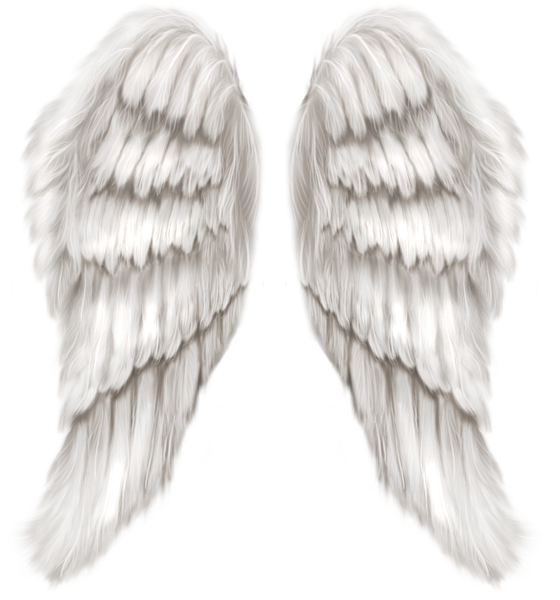 white angel wings transparent png clip art image gallery #10862