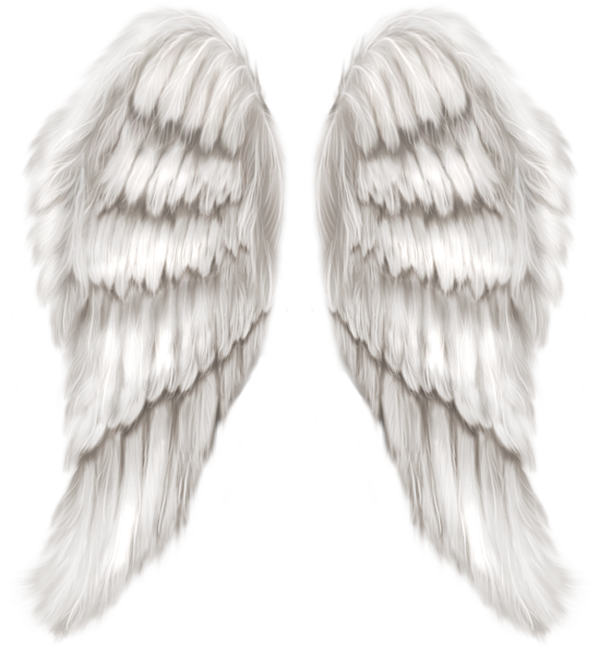 Angel Wings, Wings PNG Images Transparent Free Download - Free ...