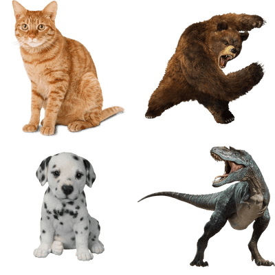 animals, png images for commercial use transparent #15625