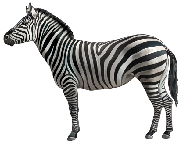 animals, zebra png clipart image gallery yopriceville high #15586