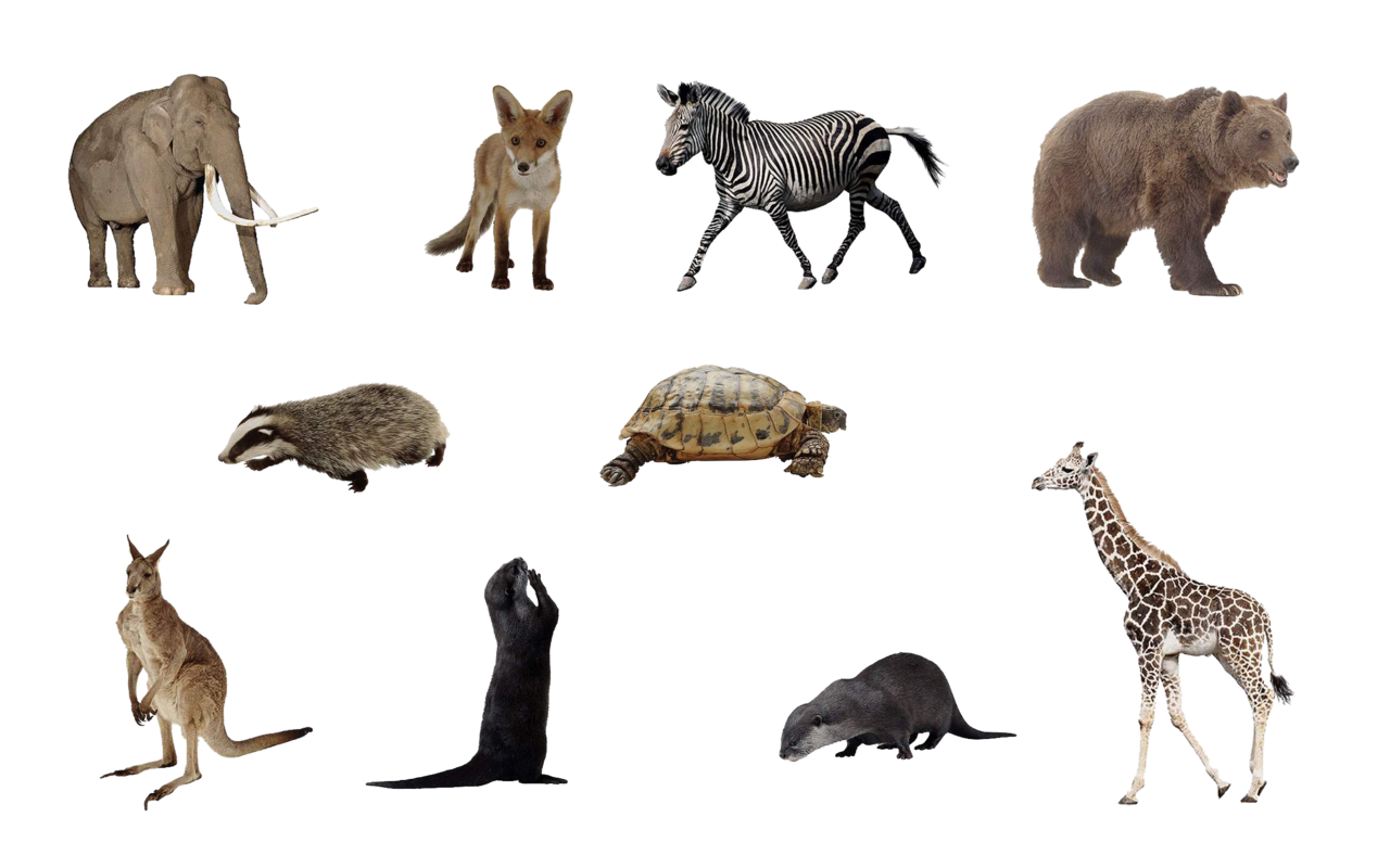 file animals png set mossi uye wikimedia #15577