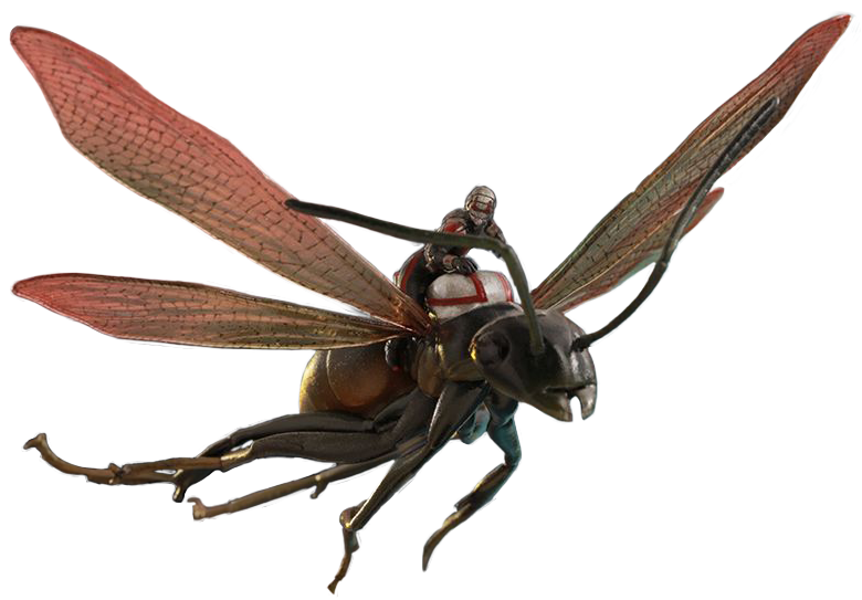 ant man png transparent images download clip art clip art clipart library #28947