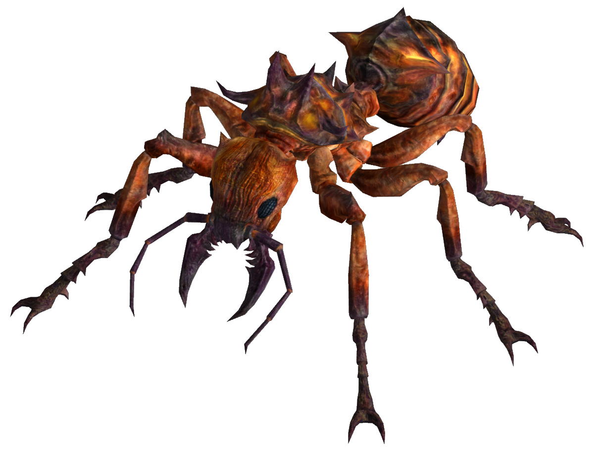 fire ant fallout the vault fallout wiki fallout fallout new vegas and more #28937