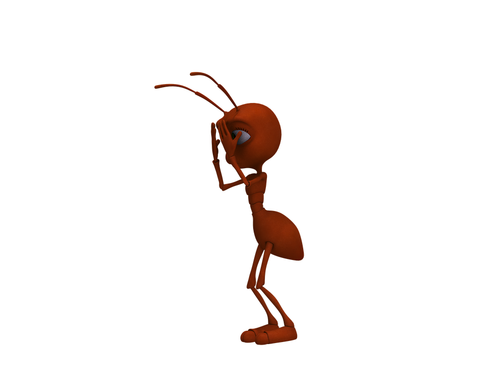 illustration ant insect red ant funny image pixabay #28893