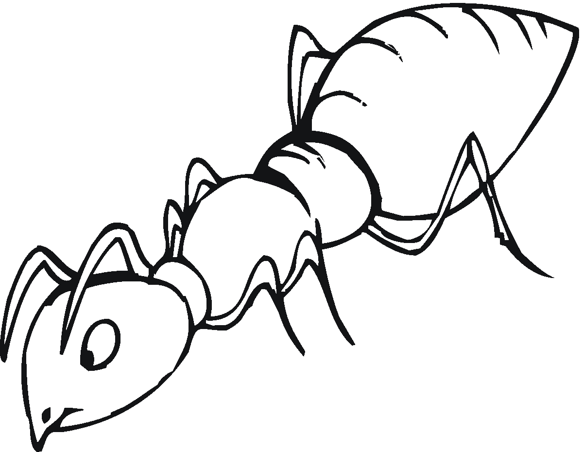 ant clipart, ants clipart printable pencil and color ants clipart #31585