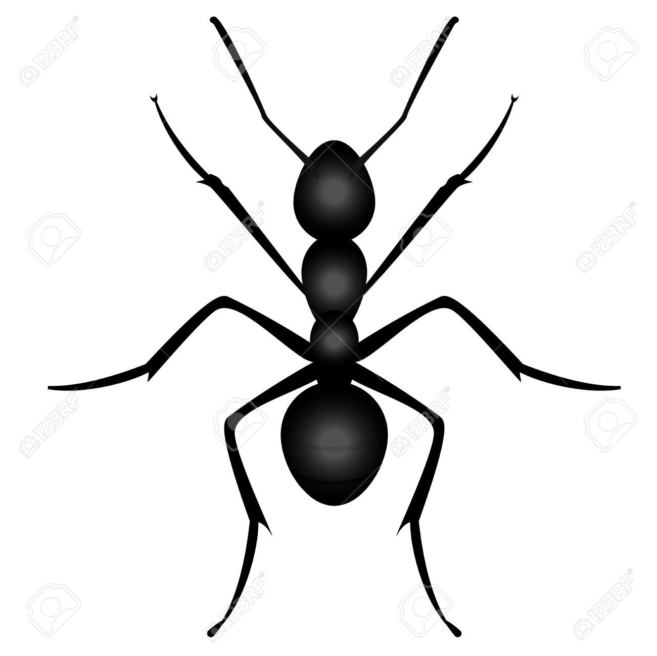 ant clipart insect pencil and color ant clipart insect #31566